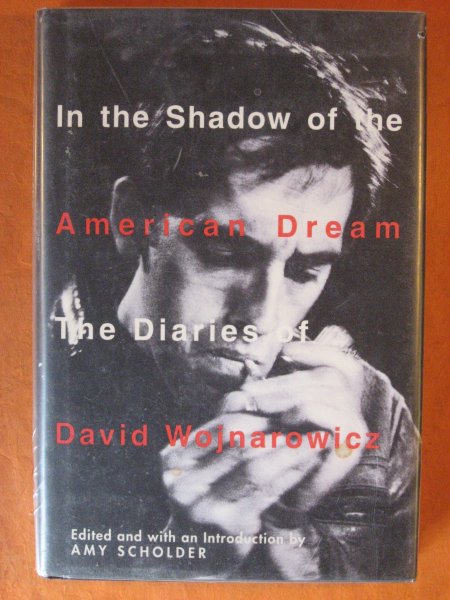 Image for In the Shadow of the American Dream: The Diaries of David Wojnarowicz