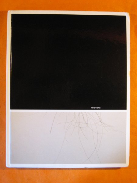 Image for Javier Pérez.