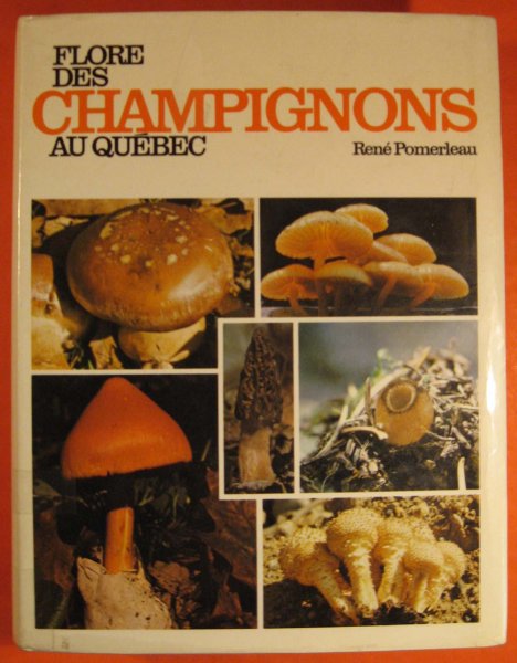 Image for Flore Des Champignons Au Quebec et Regions Limitrophes