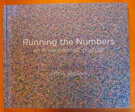 Image for Running the Numbers: An American Self-Portrait