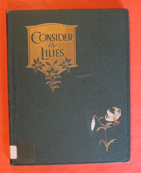 Image for Consider the Lilies