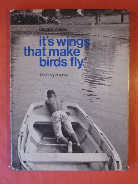 Image for It's Wings That Make Birds Fly: The Story of a Boy