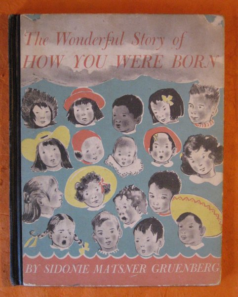 Image for The Wonderful Story of How You Were Born