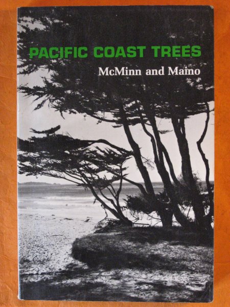 Image for An Illustrated Manual of Pacific Coast Trees
