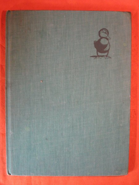 Image for Make Way for Ducklings