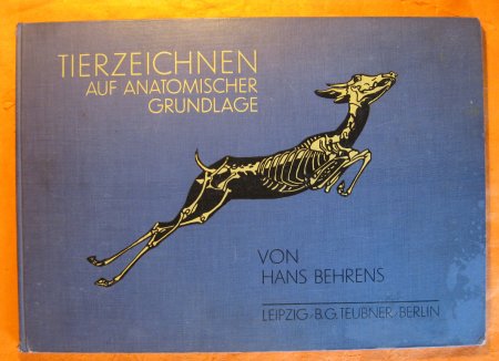 Image for Tierzeichnen auf anatomischer Grundlage Zeichnungen auf 40 Volltafeln und begleitender Text mit weiteren 18 eingestreuten Abbildungen