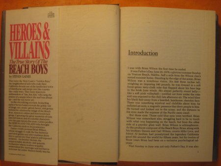 Image for Heroes and Villains: The True Story of the Beach Boys