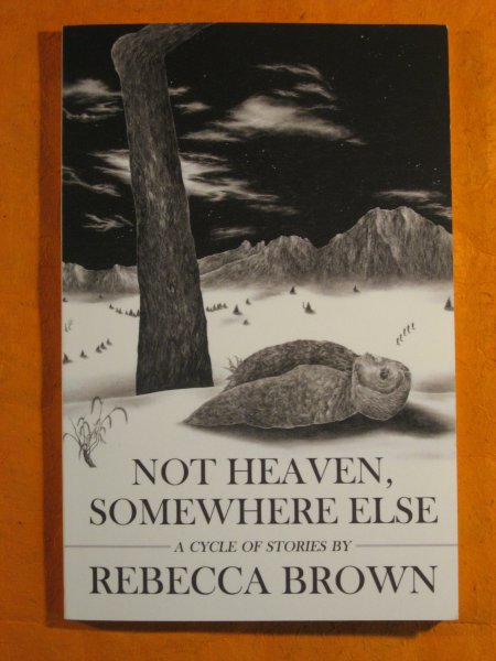 Image for Not Heaven, Somewhere Else