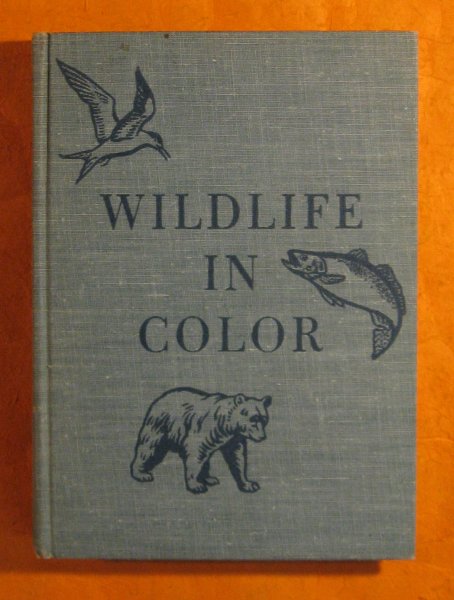 Image for Wildlife in Color