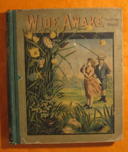 Wide Awake Pleasure Book Image for Wide Awake Pleasure Book