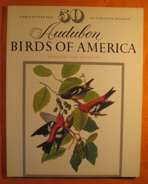 Image for 50 Audubon birds of America: From the original double elephant Folio