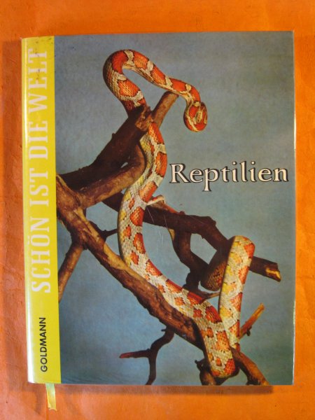 Image for Blank Sketch Book / Journal (Reptilien)