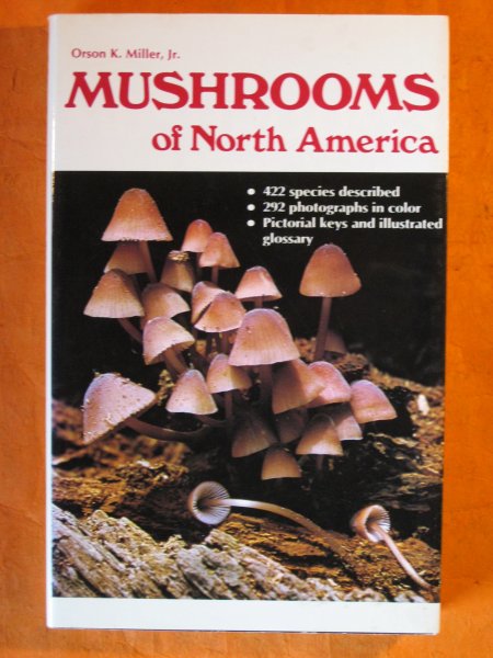 Image for Mushrooms of North America
