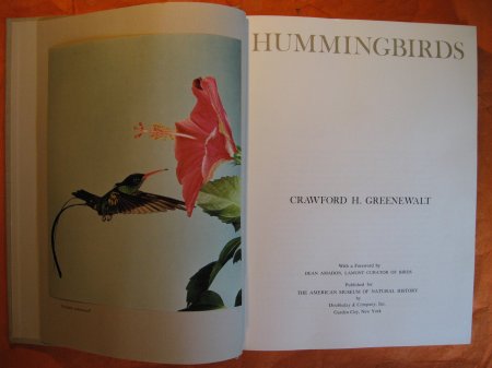 Image for Hummingbirds