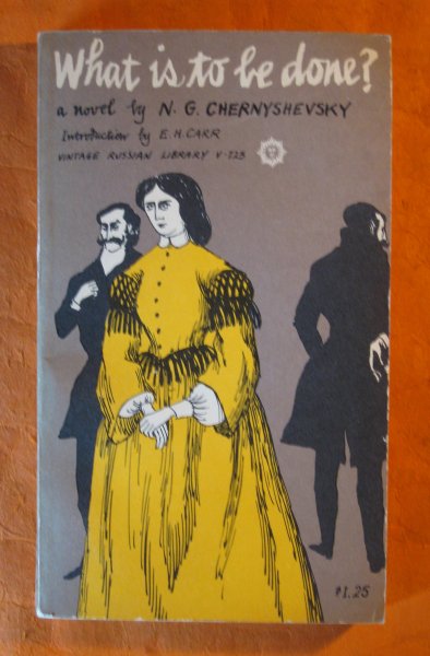 Image for What is to be Done? (Vintage Russian Library V-725)