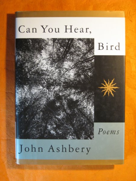 Image for Can You Hear, Bird