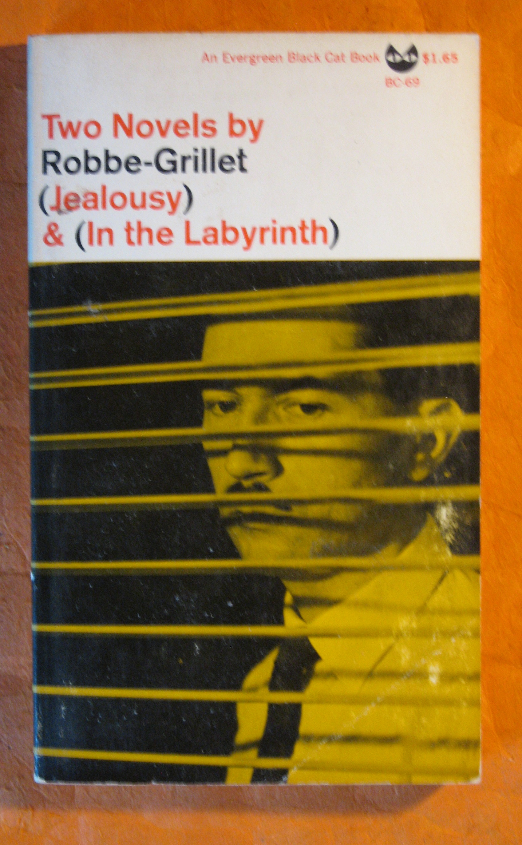 Image for Two Novels By Robbe-Grillet: Jealousy & In the Labyrinth