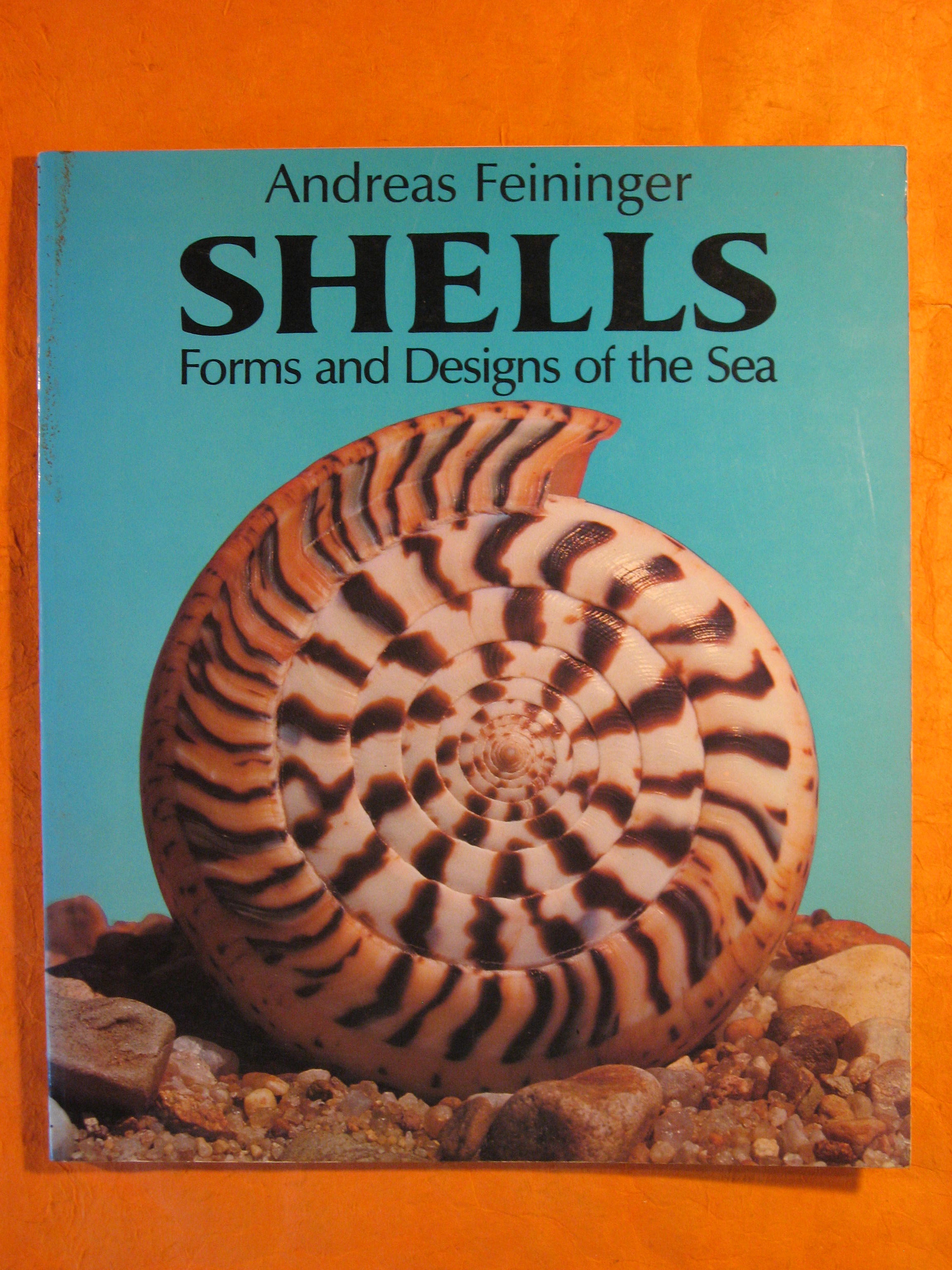 Image for Shells: Forms and Designs of the Sea