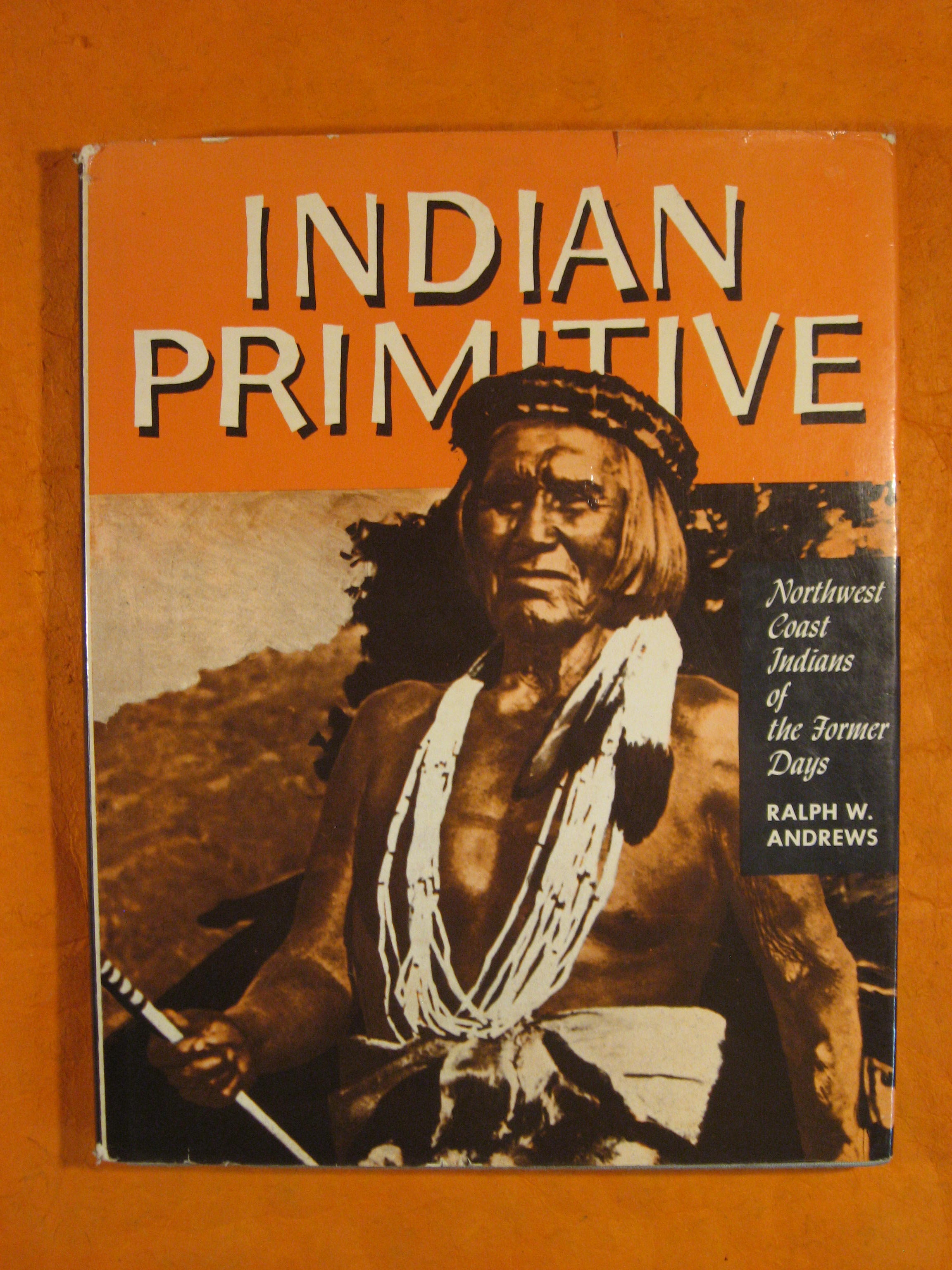 Image for Indian Primitive