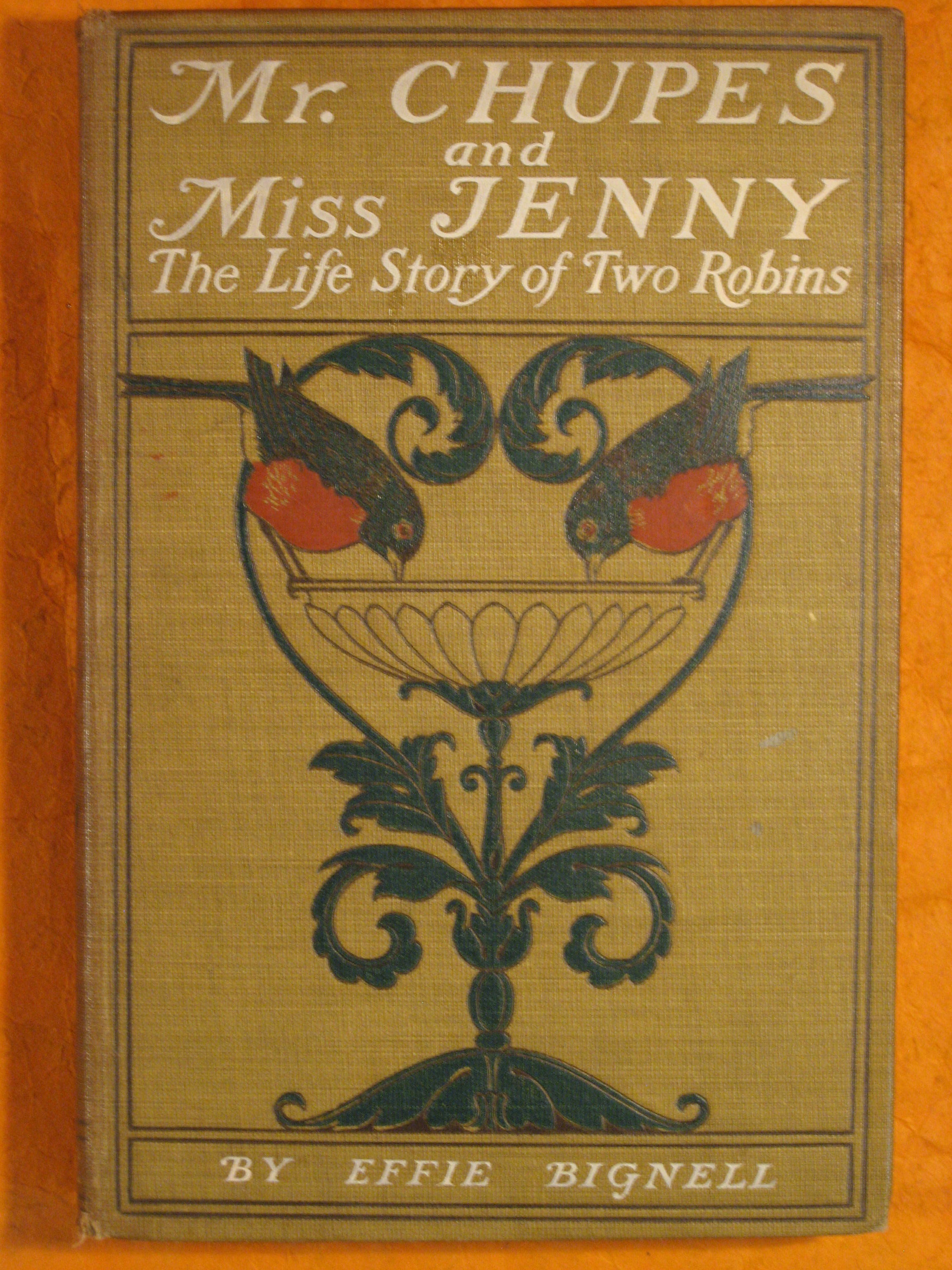 Image for Mr. Chupes and Miss Jenny: The Life Story of Two Robins