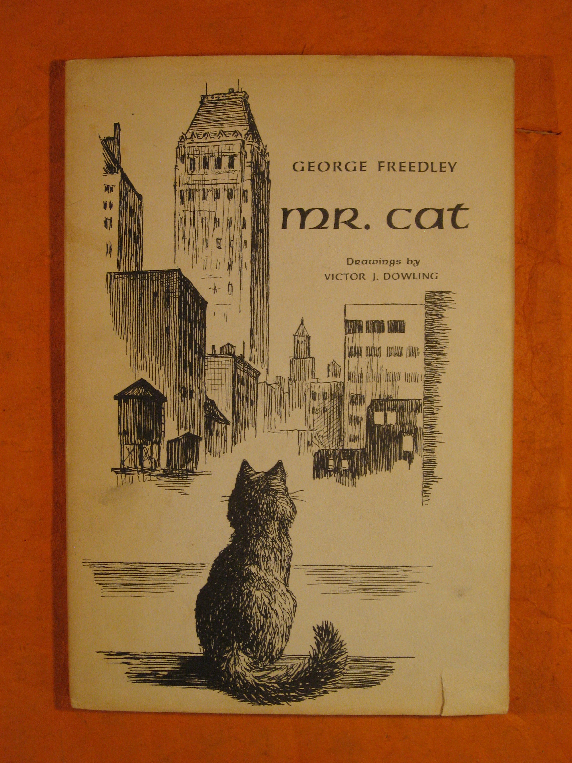 Image for Mr. Cat
