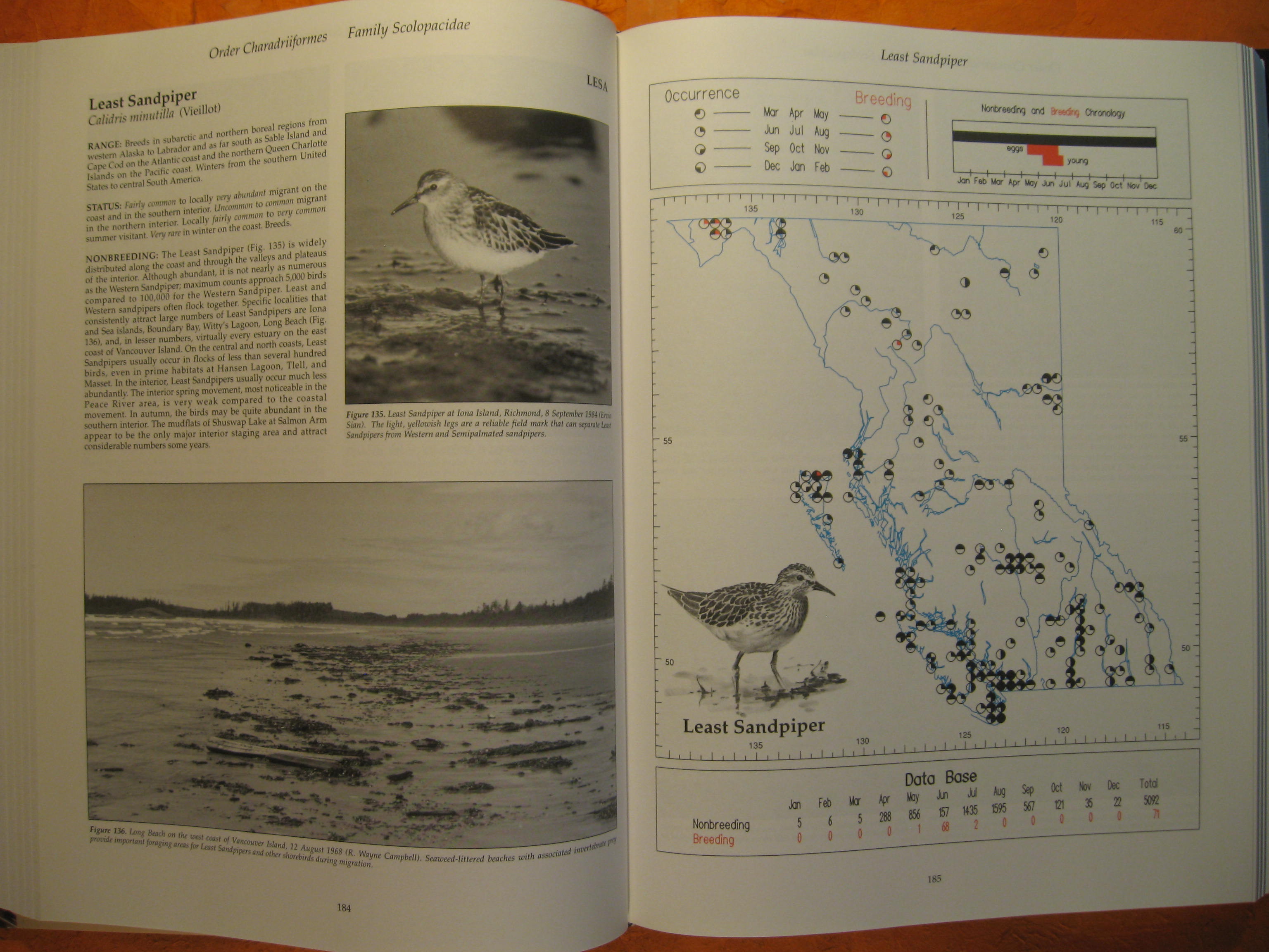 The Birds of British Columbia Volume Two Nonpasserines; Diurnal Birds of Prey Through Woodpeckers The Birds of British Columbia Volume Two Nonpasserines; Diurnal Birds of Prey Through Woodpeckers
