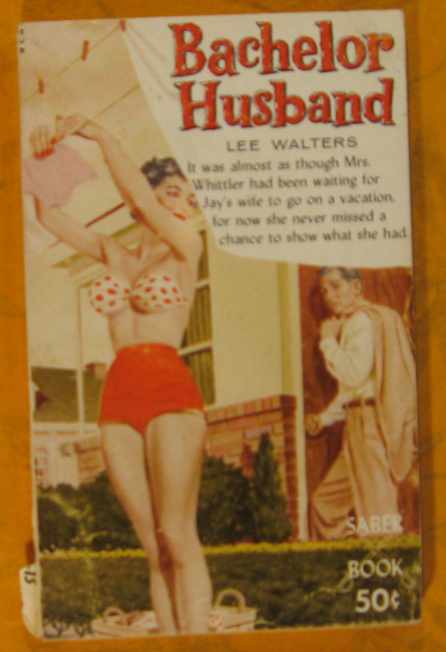 Image for Bachelor Husband