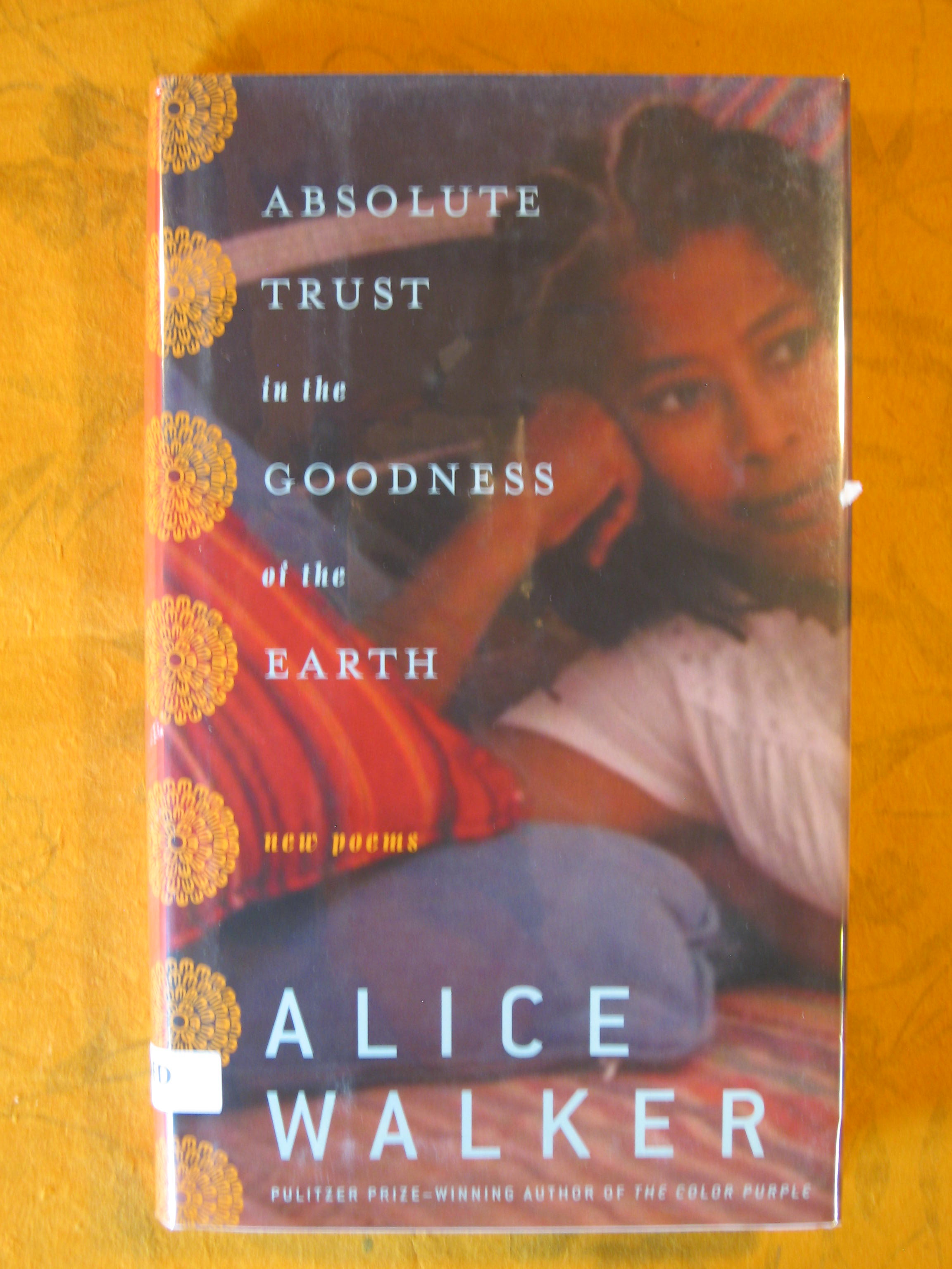 Image for Absolute Trust in the Goodness of the Earth