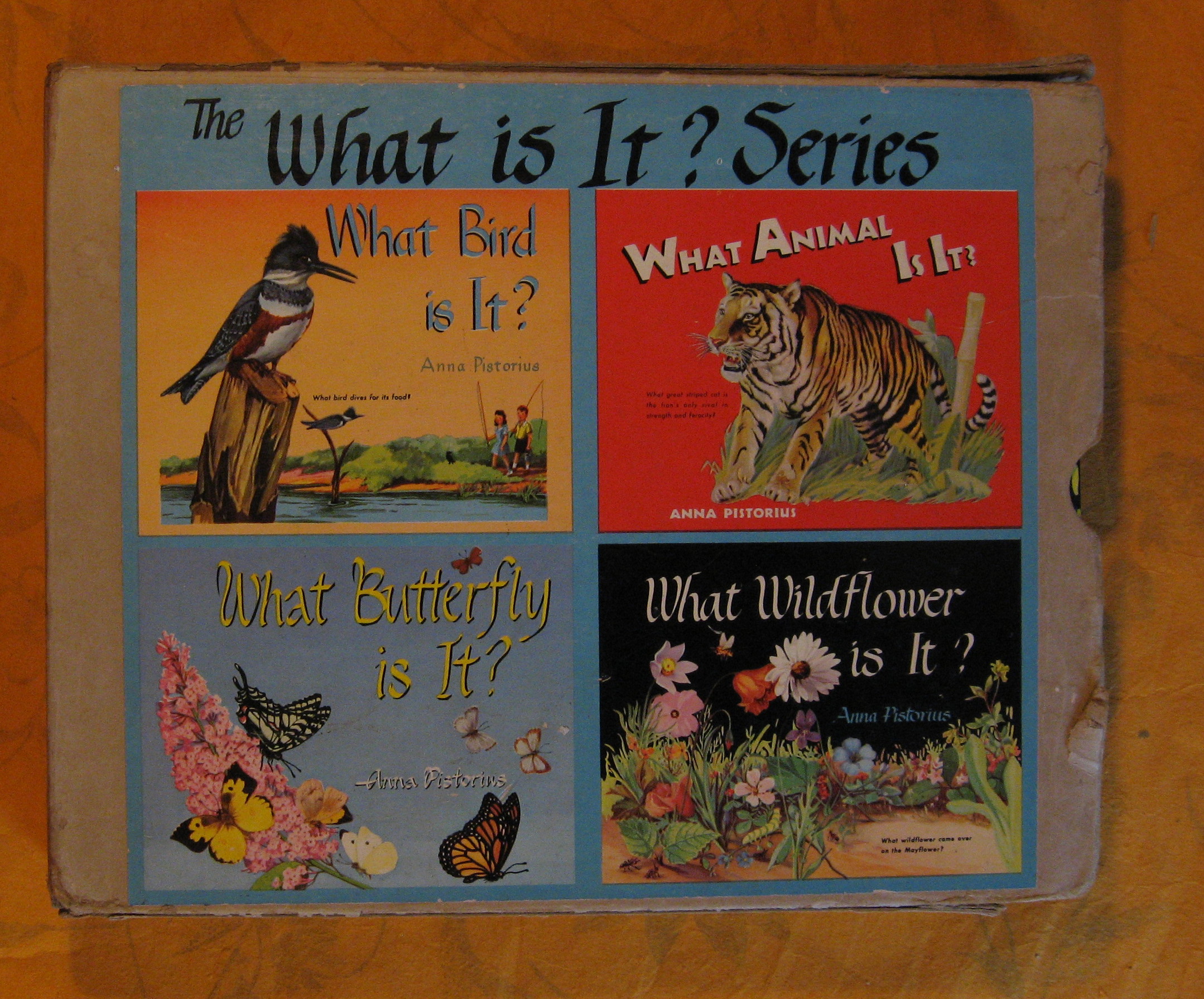 Image for The What Is It? Series (Four Volume Set in Slipcase)