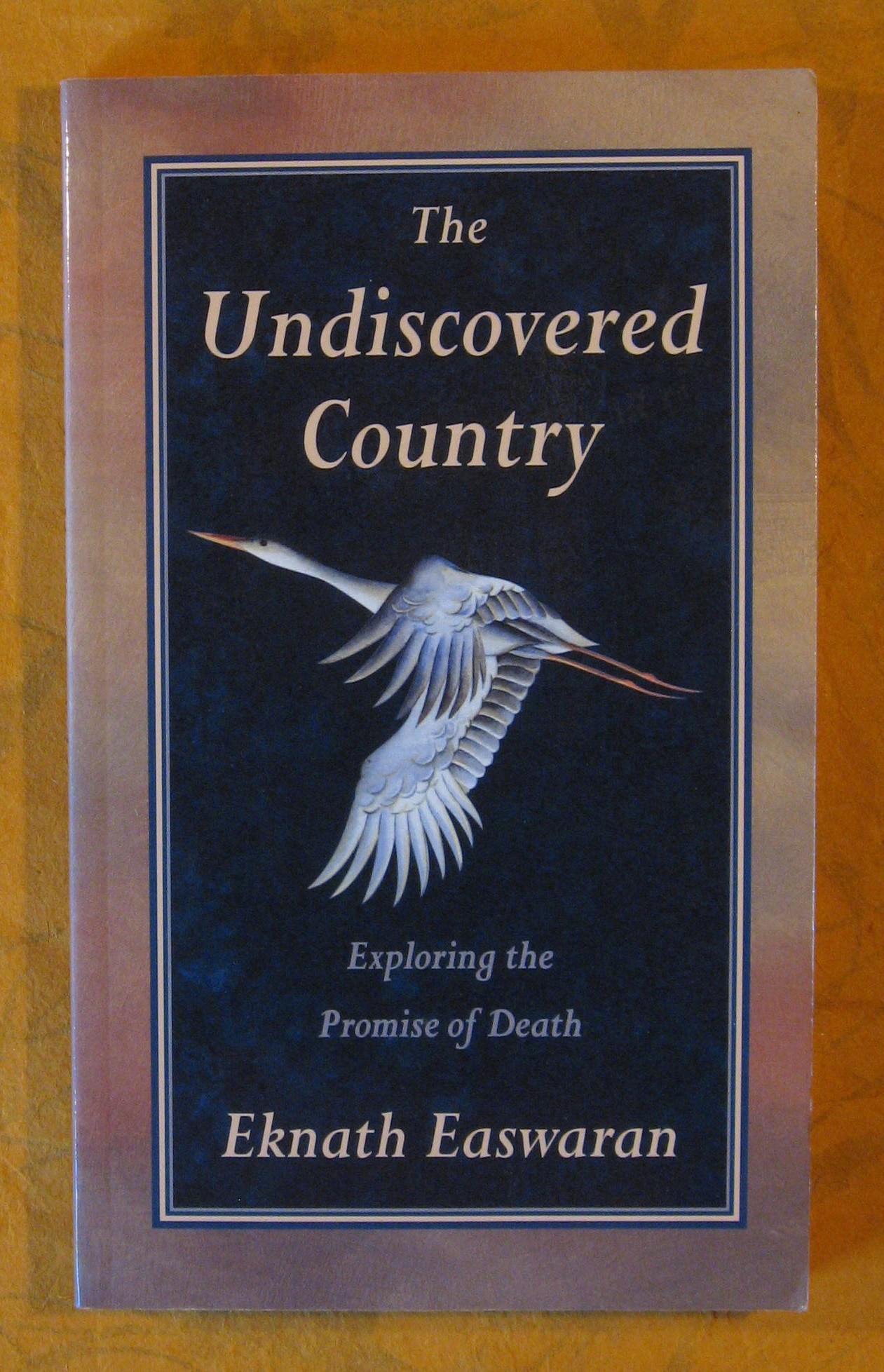 Image for The Undiscovered Country: Exploring the Promise of Death