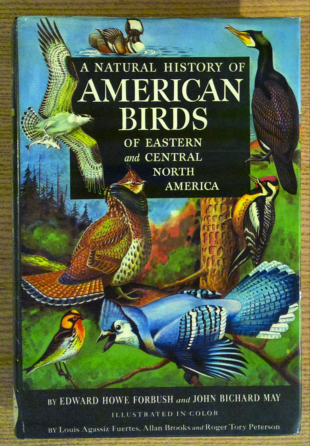 A Natural History of American Birds of Eastern and Central North America